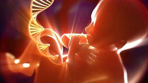Sex detection crime: Woman dies during abortion, body found in car; three family members detained