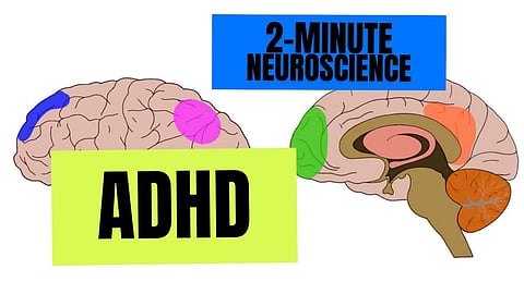 ADHD (attention-deficit / hyperactivity disorder)