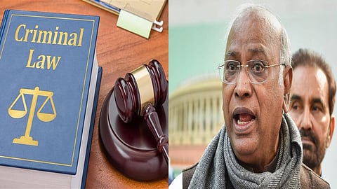 Congress on the new criminal law establishment and functioning