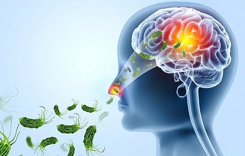 Man dies of brain fever in Kerala