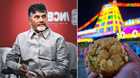 Andhra Pradesh Chief Minister N Chandrababu Naidu