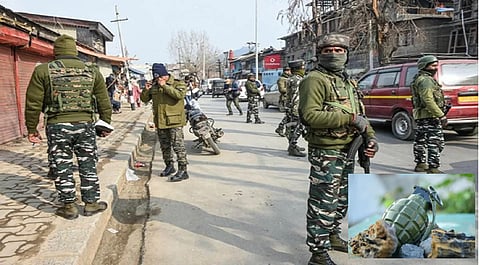 JK: 12 injured in grenade attack in Srinagar