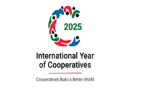 'UN International Year of Cooperative 2025