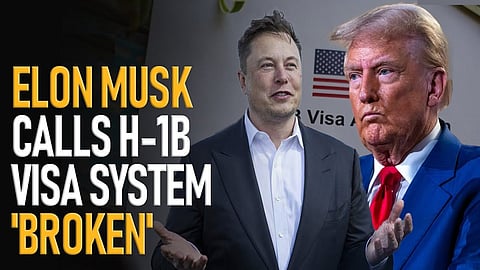 Elon Musk on H1B visa programme