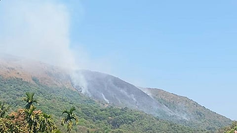 Wildfire in Kambamala forest, Wayanad
