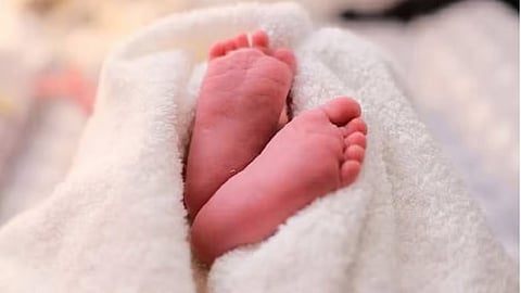 Newborn