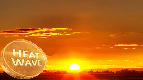Northwest, central, adjoining east India to witness heatwave conditions for next 4-5 days: IMD