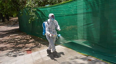 A worker sprays medicine at Kanpur zoo premises amid apprehensions of possible spread of bird flu, Wednesday, May 14, 2025.
