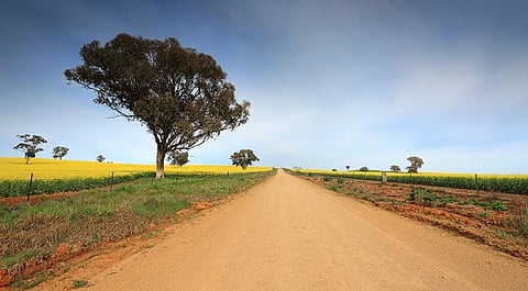 Representative image
