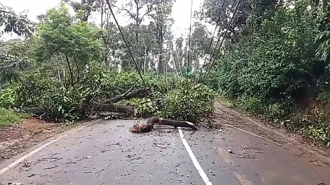 Summer rain, strong winds wreak havoc across Kerala
