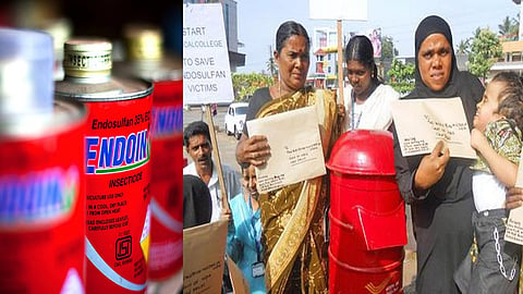 Financial aid to be provided for endsulfan victims