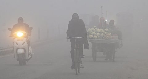 Dense fog keeps visibility low in Delhi, air quality 'very poor'