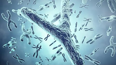 Men lose their Y chromosome as they age