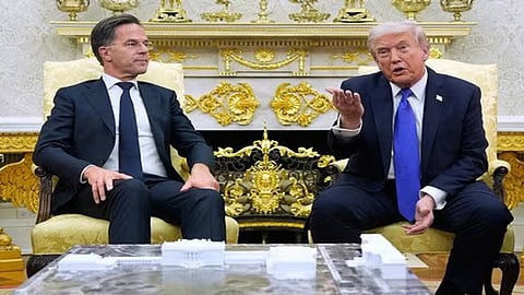 NATO 'wasn't there when we needed them'