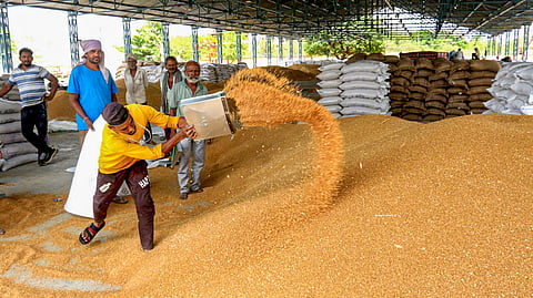 Workers sort wheat grain for packaging and sale at a wholesale market, in Bhopal, Madhya Pradesh