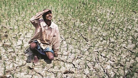 Govt steps up El Nino preparedness