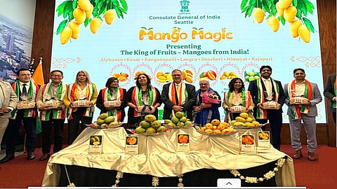 Mango 'magic' takes over US