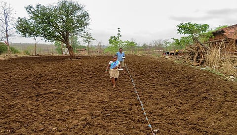 Delayed rains: Thane farmers asked to hold off kharif sowing