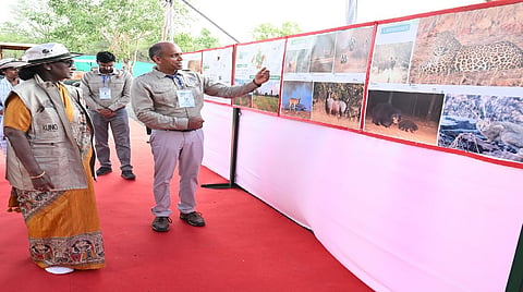 President Murmu wraps up 5-day MP tour after visit to Project Cheetah in Kuno