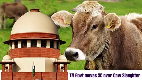 Tamil Nadu govt moves SC against Madras HC order banning cow slaughter