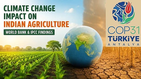 Climate warnings and adaptation finance ahead of COP31