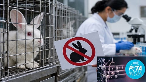 PETA India calls for withdrawal of Centre's draft rules
