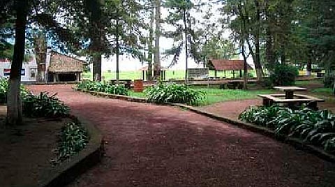 Si no eres de realizar muchas actividades, Chupícuaro cuenta con kioscos y asadores
