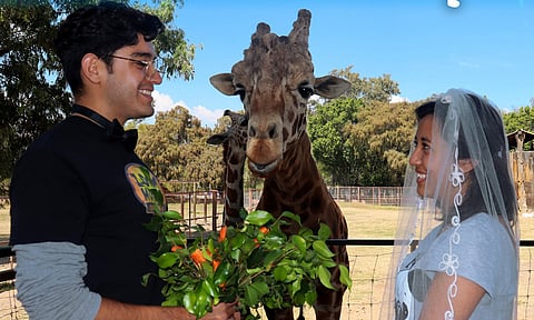 Este 14 de febrero podrás casarte en el Zoo de Morelia con testigos de lujo