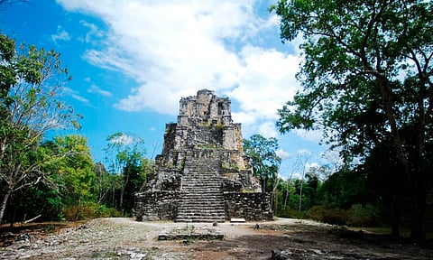 Tren Maya dio oportunidad de realizar extensa investigación de salvamento arqueológico
