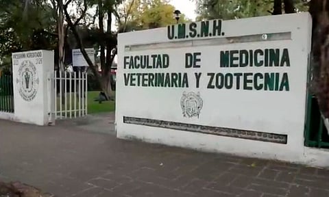 Ofrece Facultad de Veterinaria cursar la Estancia rotatoria con opción a titulación