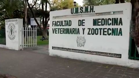 Vacunarán contra influenza, tétanos y hepatitis B, en Facultad de Veterinaria