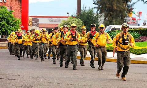 Brigada Delfines inició programa de Acondicionamiento Físico y Capacitación