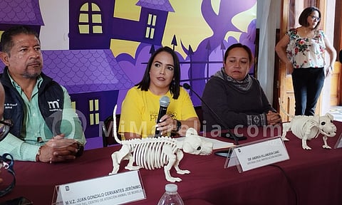 Pasarela del Perror en Morelia será a beneficio de animalitos de la calle