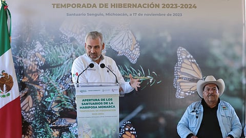Abren santuarios de la Monarca; se esperan 500 mil visitantes