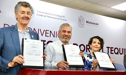 En 2027 será obligatoria la certificación para cultivo de agave para tequila