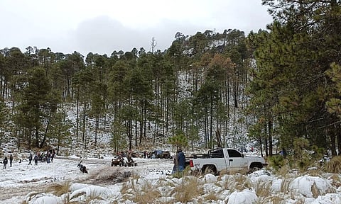 Michoacanos suben al Pico de Tancítaro a disfrutar la nevada y así se vio