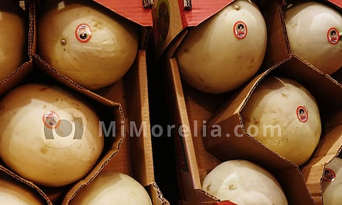 Degustaciones, exposiciones, concursos y un reconocido grupo de los 70’s, en la Feria del Melón en Zicuirán