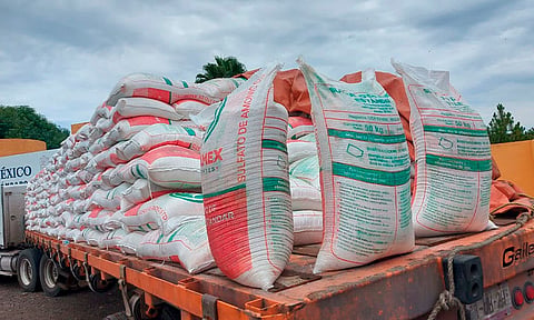 Estos son los requisitos para que pequeños productores reciban fertilizante gratuito