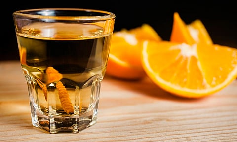 Gobierno de Morelia invita al Recorrido Ruta Mezcal