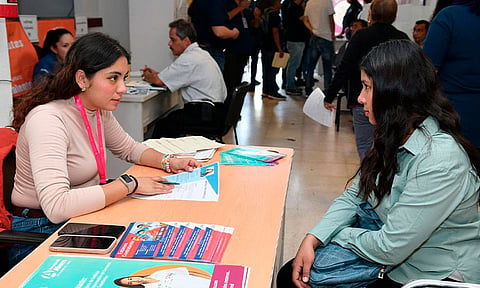 Conoce el Programa de Apoyo al Empleo para buscadores de trabajo y patrones