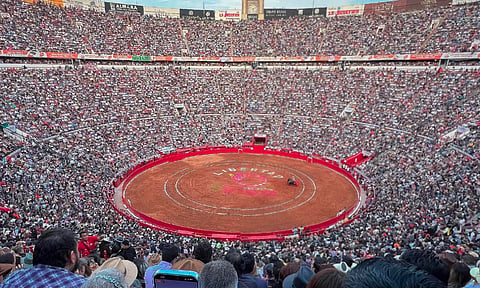 Tribunal Colegiado autoriza corridas de toros en Plaza México