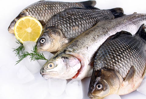 Pescado, hasta 75% más caro esta Cuaresma 2024