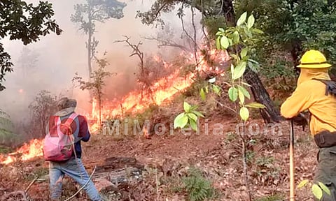 Michoacán: emiten recomendaciones ante el humo de incendios forestales