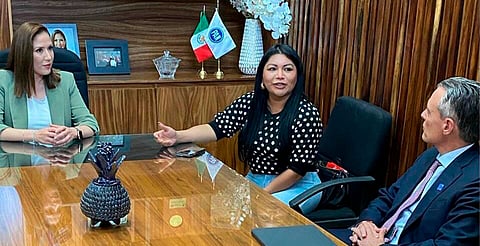El desplazamiento forzado no cesa en Michoacán: Brenda Fraga