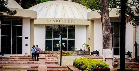 Visita el Orquidario de Morelia y conoce más de 200 ejemplares