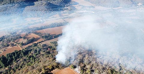 Incendio de este viernes fue controlado y no dañó el Cerro del Estribo Grande: alcaldía de Pátzcuaro