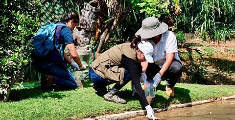 Agua y lodo vertidos en el zoo de Morelia podrían tener hierro y azufre