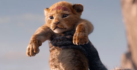 Revelan primer vistazo de la precuela del Rey León; ya tiene fecha de estreno
