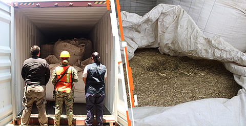 Aseguran en Lázaro Cárdenas siete contenedores con marihuana