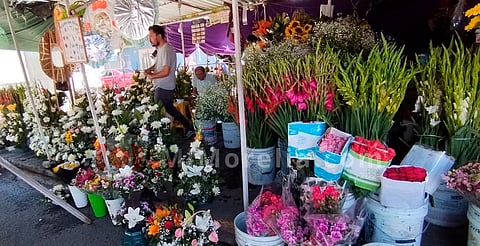 Flores incrementaron casi al doble de precio: vendedores